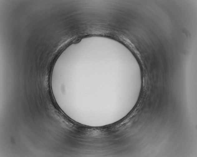 X0000110690249200907101154