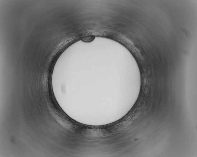 X0000110690250200907101154