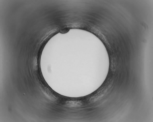 X0000110690251200907101154