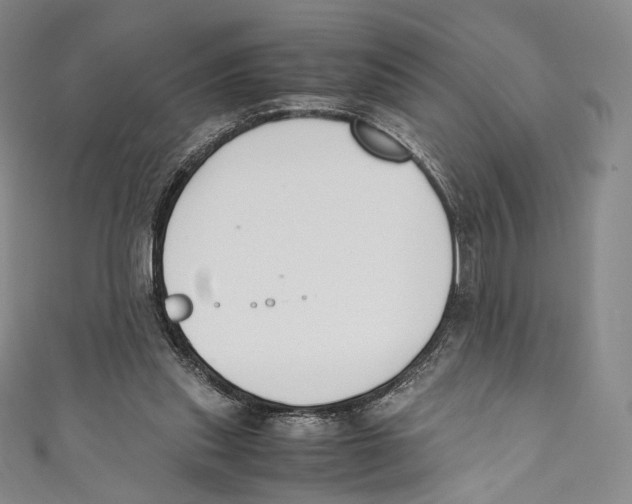 X0000110690253200907101154