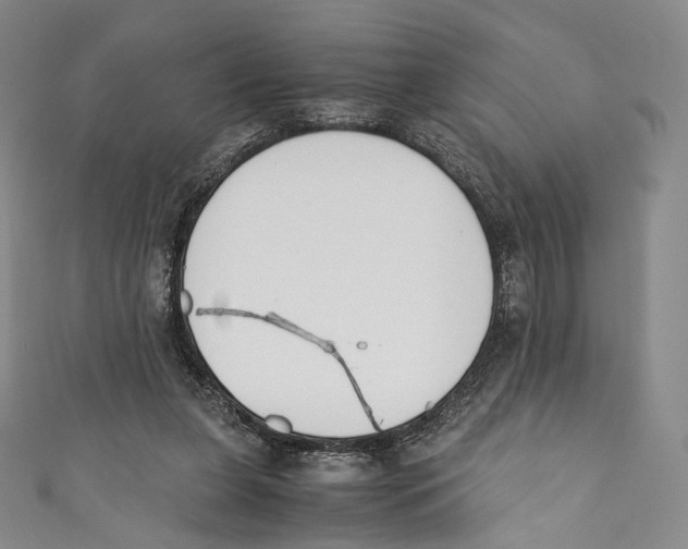 X0000110690255200907101154