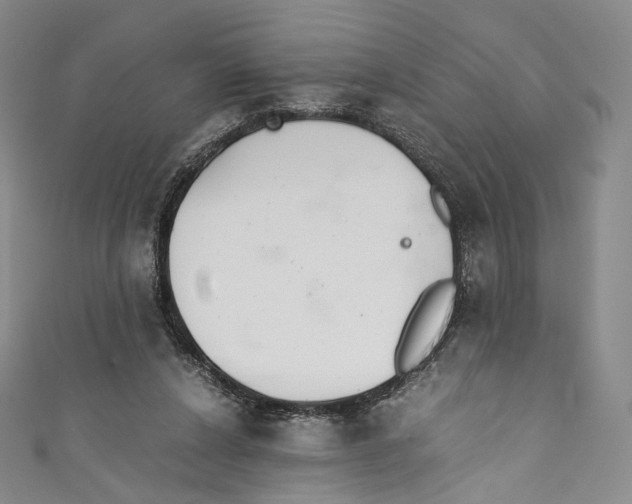 X0000110690256200907101154