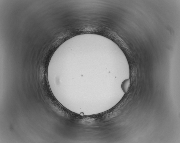 X0000110690257200907101155