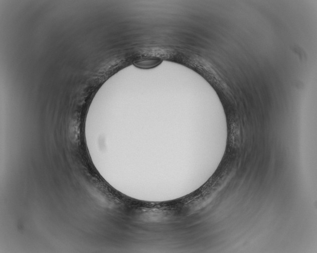 X0000110690259200907101155