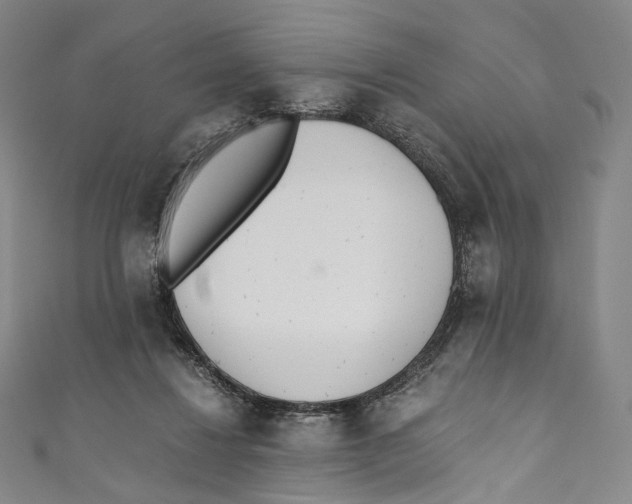 X0000110690260200907101155