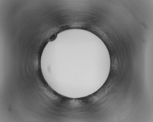 X0000110690261200907101155