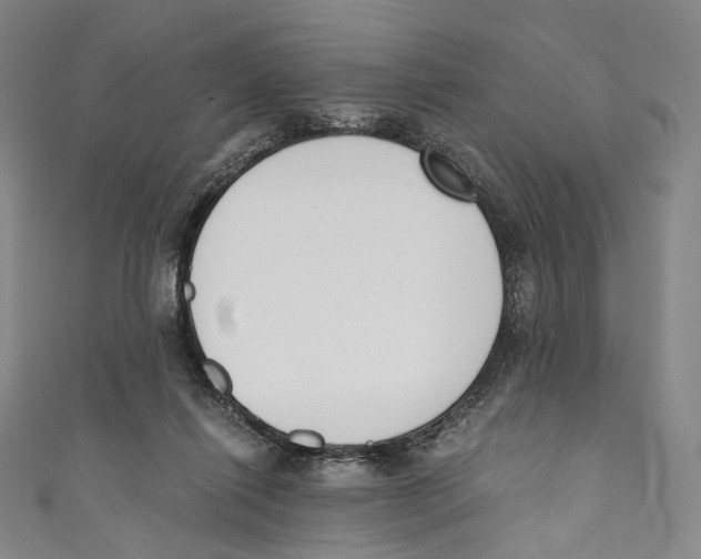 X0000110690262200907101155