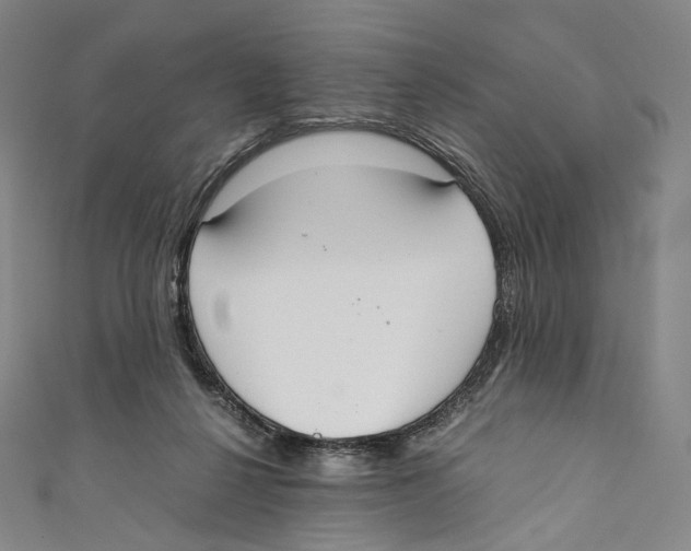 X0000110690264200907101155