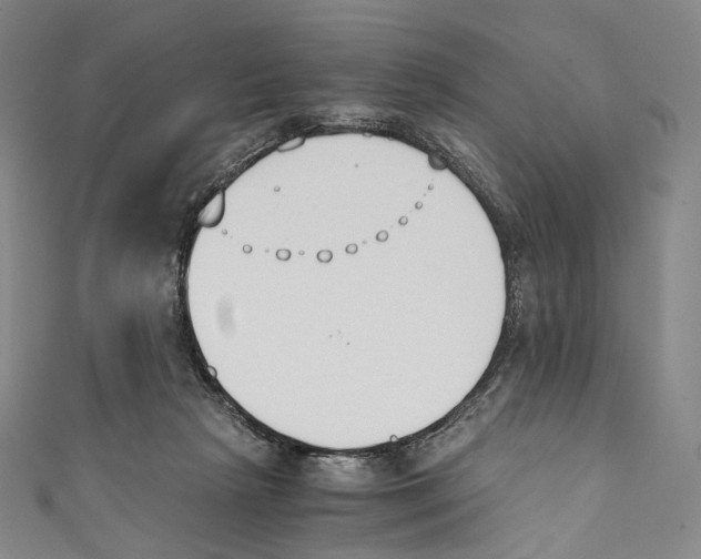 X0000110690265200907101155