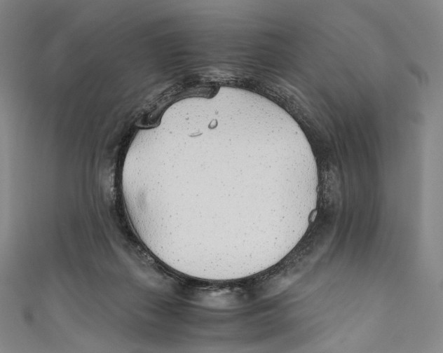 X0000110690267200907101155