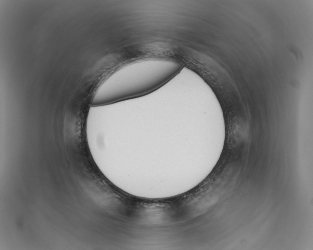 X0000110690268200907101155