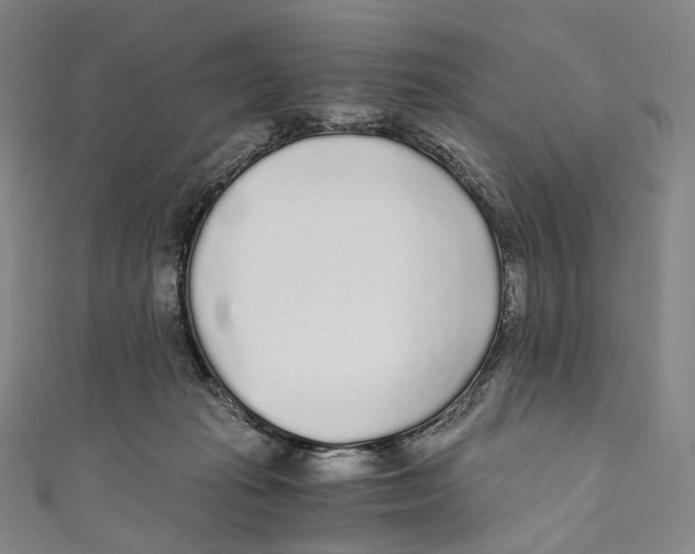 X0000110690269200907101155