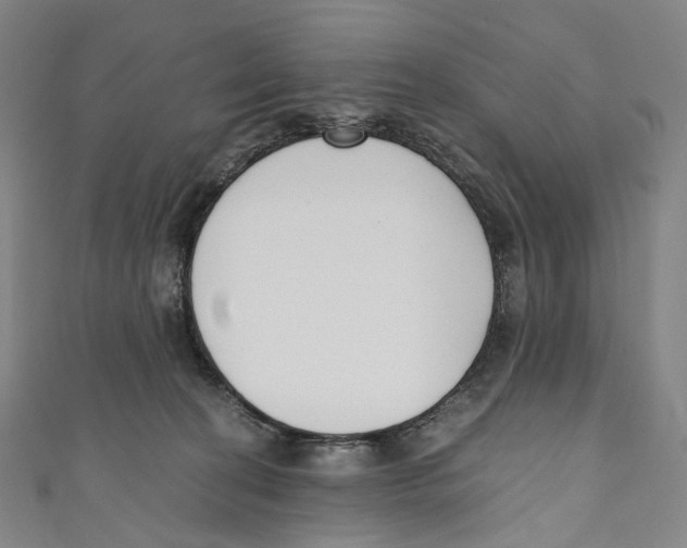 X0000110690274200907101155