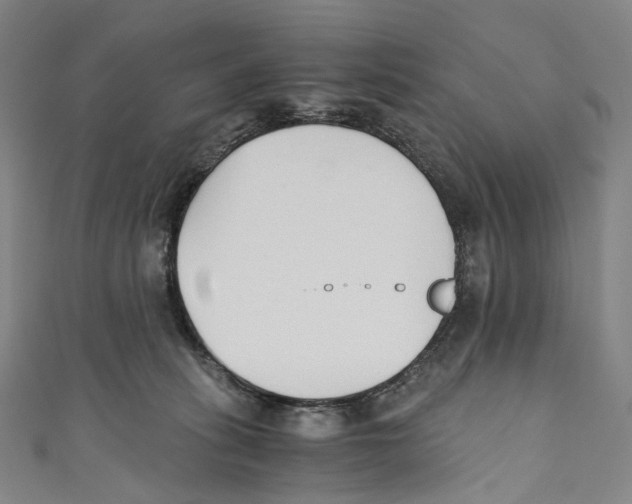 X0000110690275200907101155