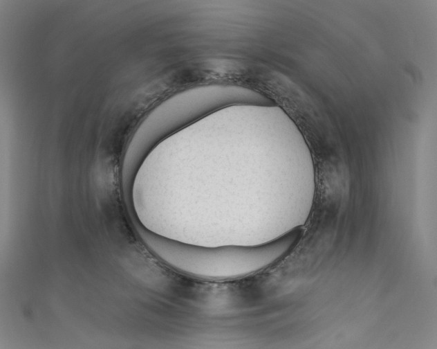 X0000110690276200907101155