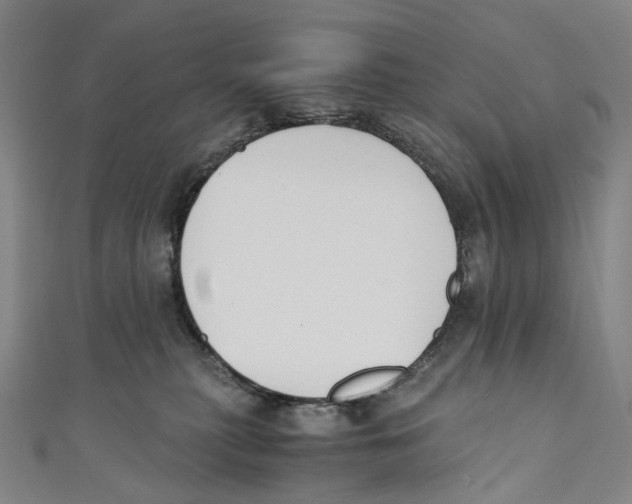 X0000110690279200907101155