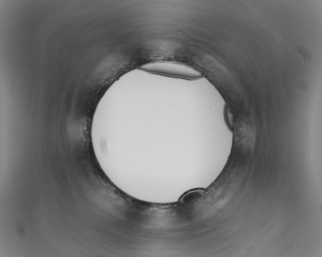 X0000110690280200907101155