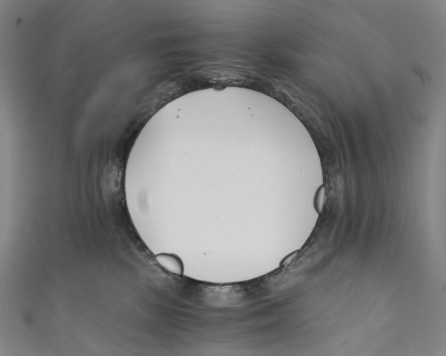 X0000110690281200907101155