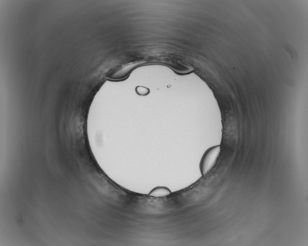 X0000110690282200907101155