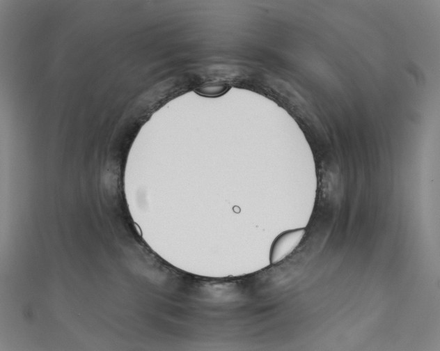 X0000110690283200907101155