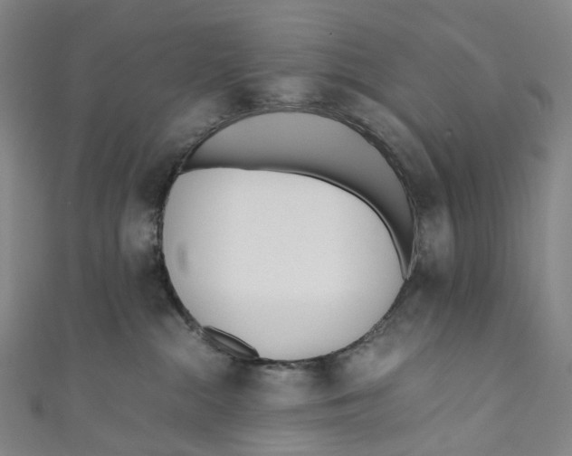 X0000110690284200907101155