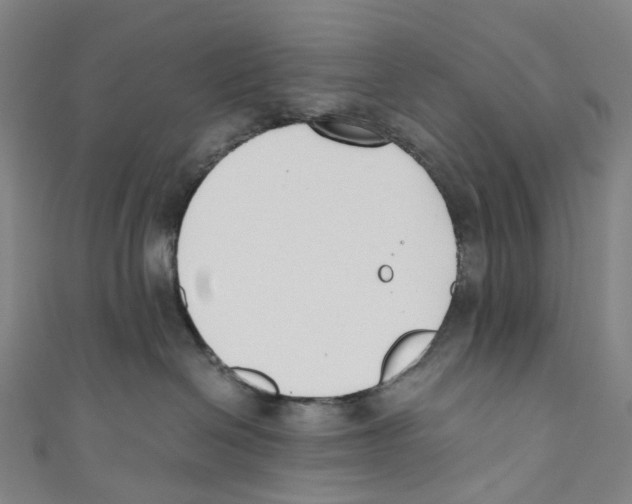 X0000110690286200907101155