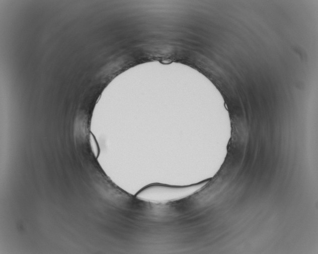 X0000110690287200907101155