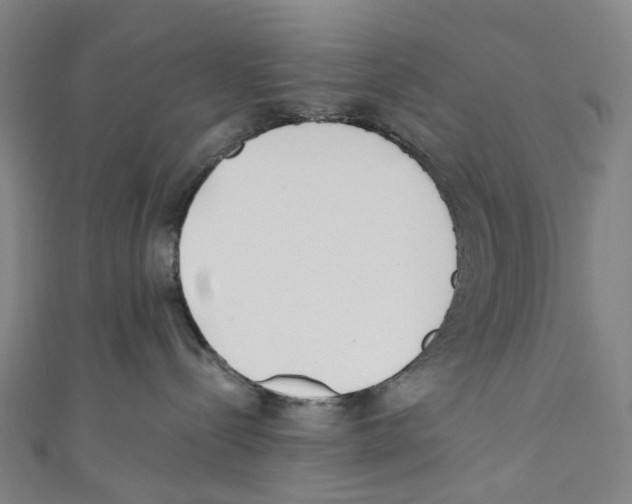 X0000110690288200907101155