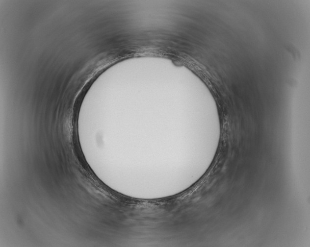 X0000110690290200907101154