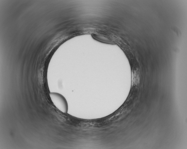 X0000110690291200907101154