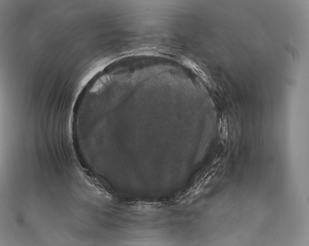 X0000110690292200907101154