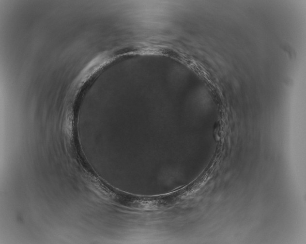 X0000110690295200907101154