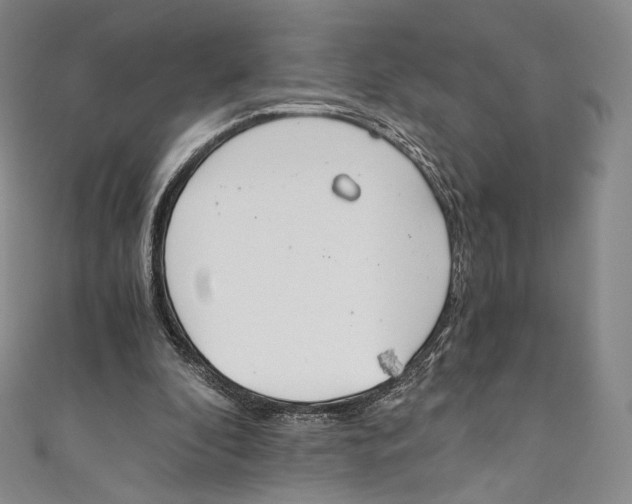 X0000110690296200907101154