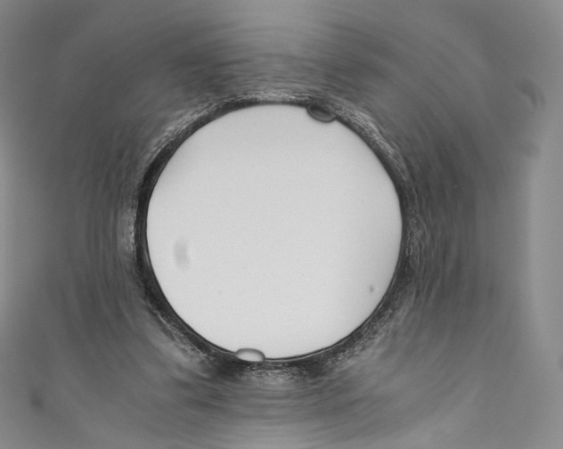 X0000110690299200907101154