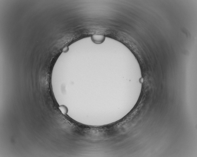 X0000110690305200907101154