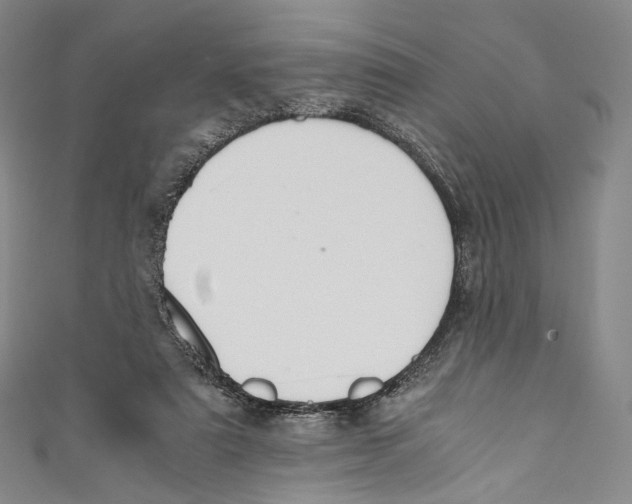 X0000110690307200907101154