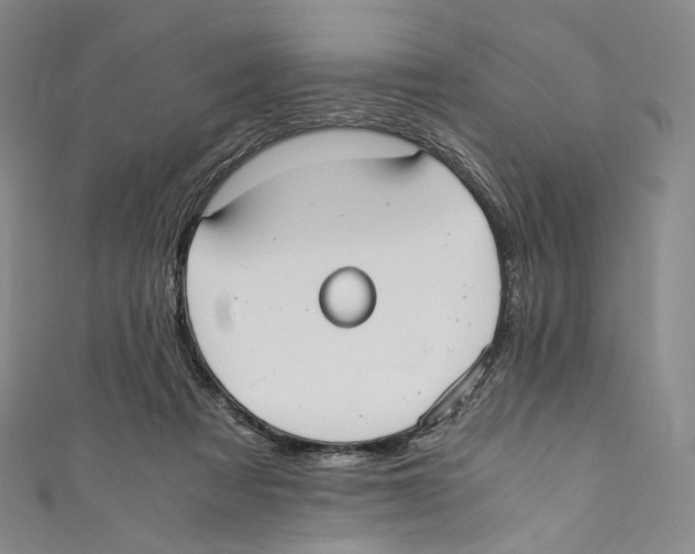 X0000110690313200907101154