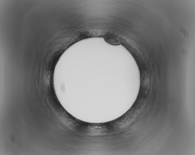 X0000110690315200907101154