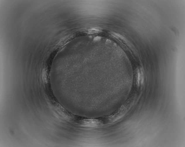 X0000110690316200907101154