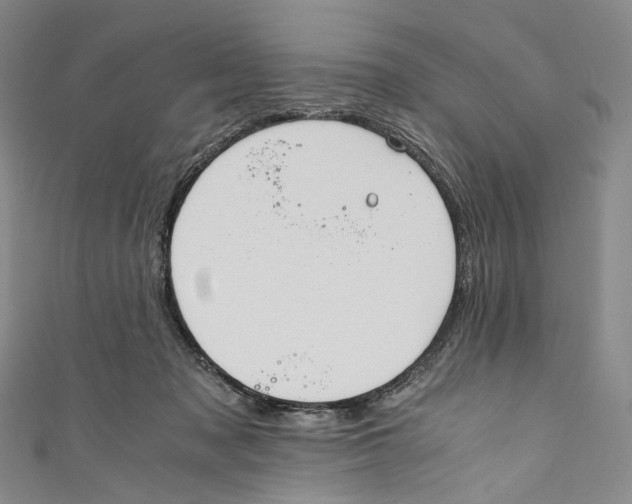 X0000110690317200907101154