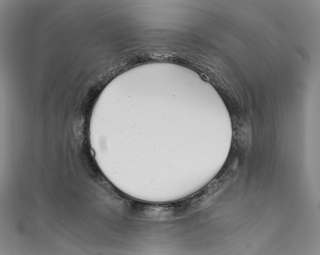 X0000110690319200907101154