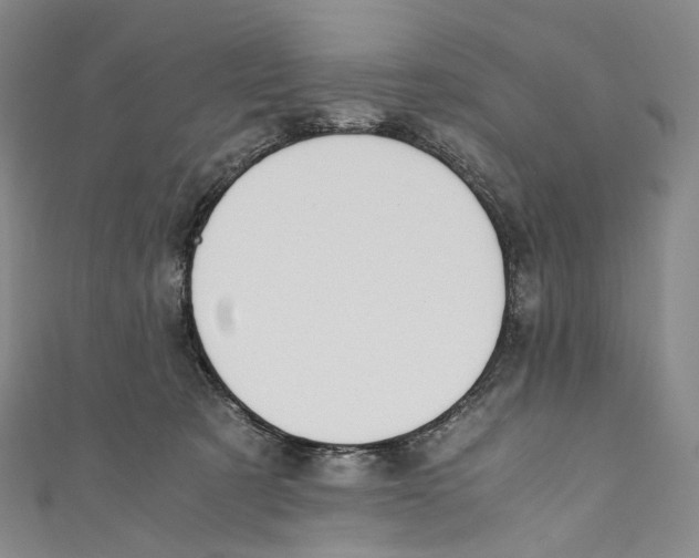 X0000110690321200907101154