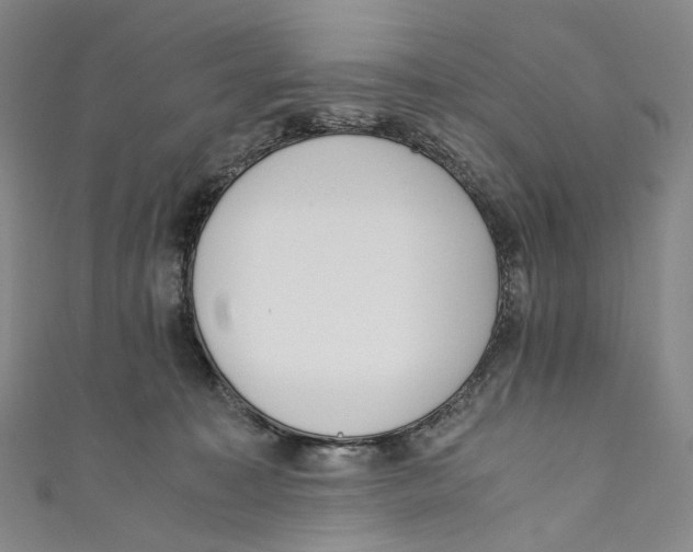 X0000110690323200907101154