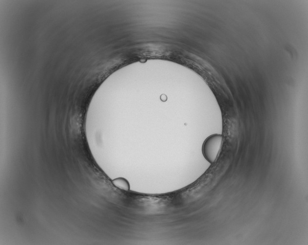 X0000110690326200907101154