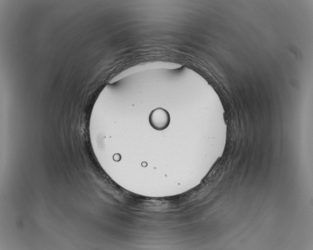 X0000110690328200907101154