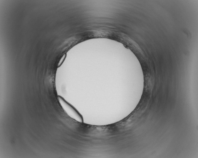 X0000110690329200907101154