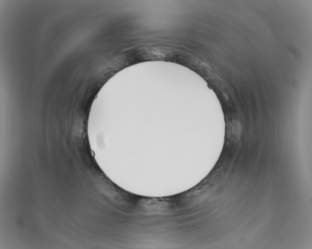 X0000110690331200907101154