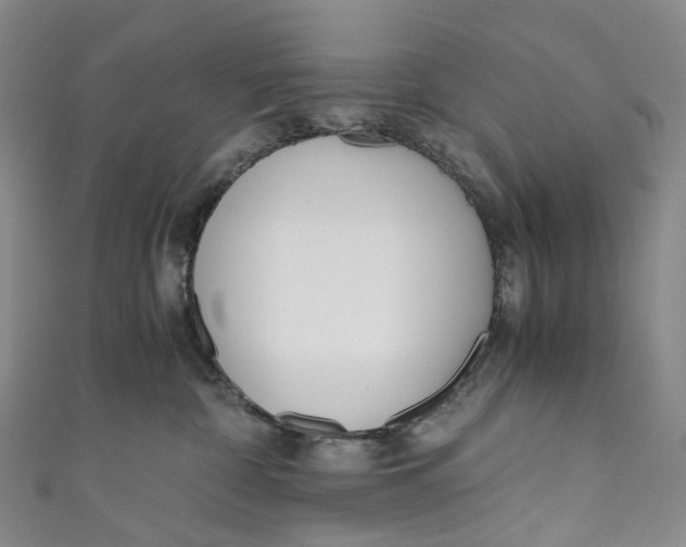 X0000110690332200907101154