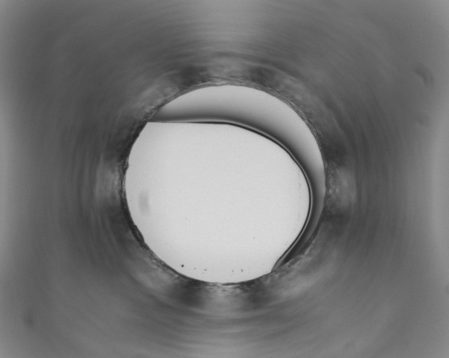 X0000110690333200907101154