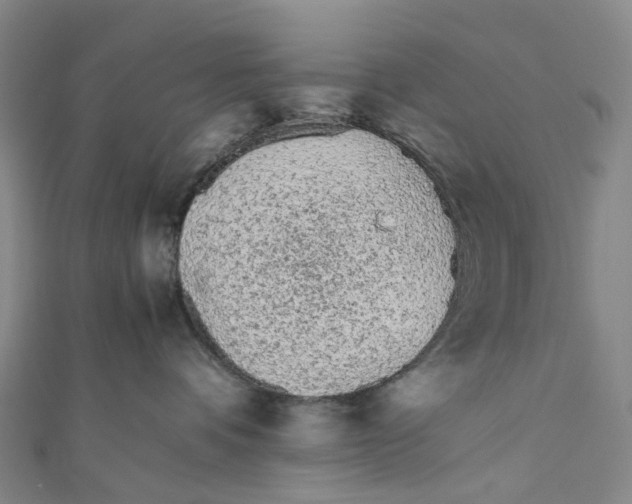 X0000110690336200907101154